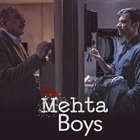 The Mehta Boys